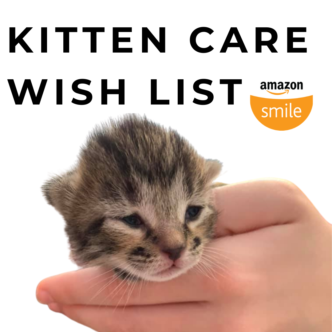 Wishlist Tenth Life Cat Rescue